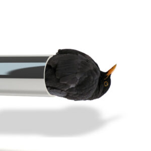 Exhaust Choke